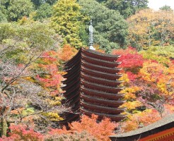 談山神社